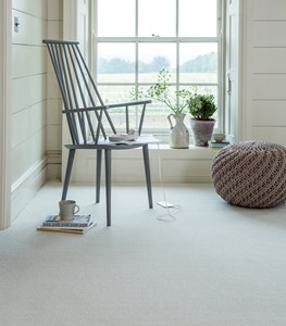Primo Plus Carpet Range