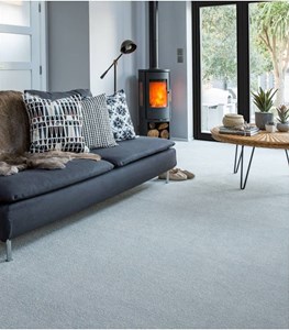 Apollo Plus Carpet Range