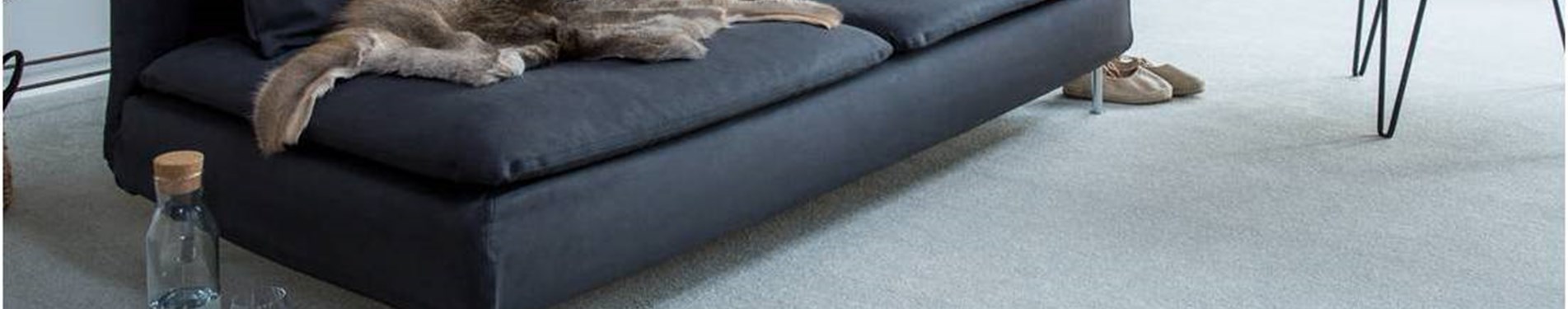 Apollo Plus Carpet Range