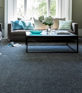Soft Focus Heathers Carpet Range