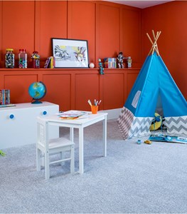 Apollo Elite Carpet Range