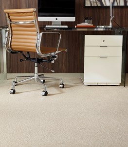 Primo Ultra Carpet Range