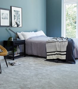 Apollo Comfort Carpet Range